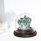 Green phantom quartz wealth crystal display with base options for collectors and gifts