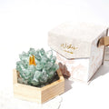 Phantom quartz crystal cluster display with rosewood style base for gifting