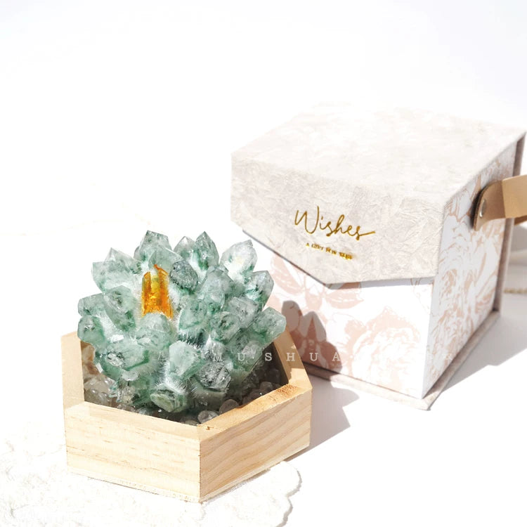 Phantom quartz crystal cluster display with rosewood style base for gifting
